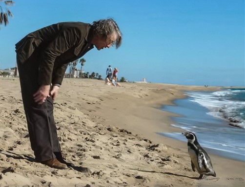 THE PENGUIN LESSONS