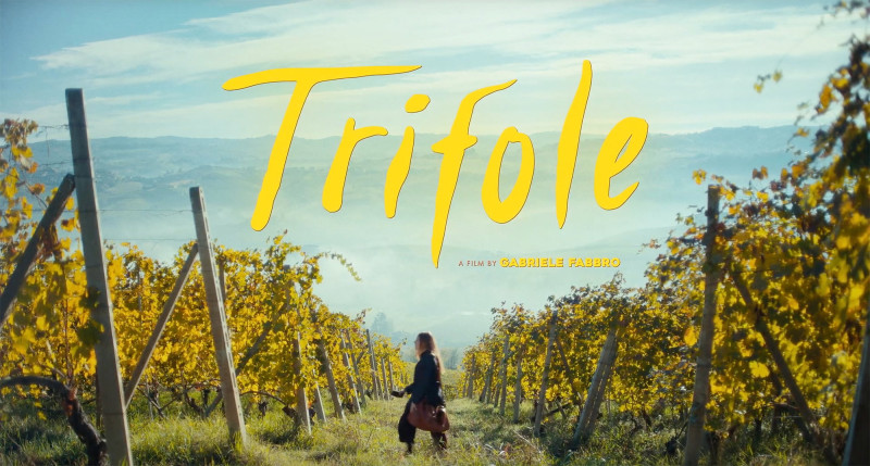 TRIFOLE (TRUFFLE)