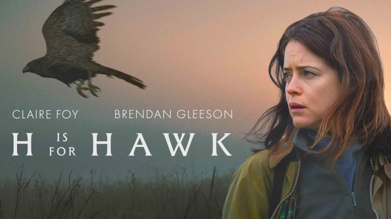 H IS FOR HAWK