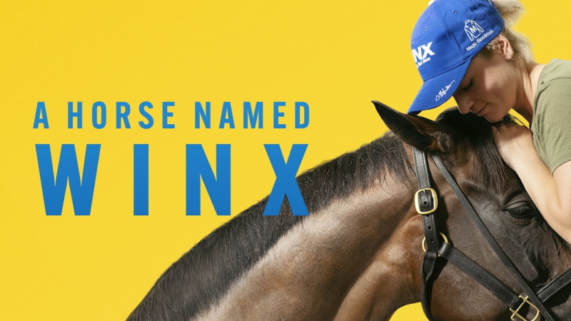 A HORSE NAMED WINX A HORSE NAMED WINX